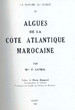 Algues de la cote atlantique marocaine
