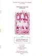 1492-1992; l'expulsion des juifs d'Espagne; volume II, la diaspora sépharade.
