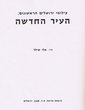 The first photographs of Jerusalem; The New city)