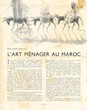 L'Art Ménager au Maroc
