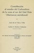 Contribucion al estudio del Carbonifero de la zona sur del Uad Dra