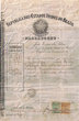 Passeport Braizilien