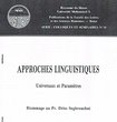 De quelques hébraismes en arabe marocain et de leurs voies deassage