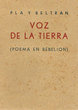 Voz de la tierra (poema en rebelion)