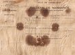 Bulletin de naissance de Isaac Elghrabli