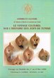 Arts et Traditions Populaires des Juifs de Tunisie 1996: le voyage culturel sur l'histoire des Juifs