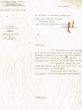 Lettre adressée le 18/07/1957 à Salomon Chriqui, Défenseur agréé à Casablanca