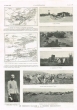 Les évènements militaires à la frontière orano-marocaine