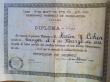 Diplome du Tribunal Rabbinique du Maroc