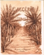 Notre voyage en Afrique 1920-1921