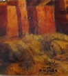 Le Maroc vu par un peintre, Myriem Mézian