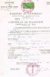 Inscription au tribunal de prmière instance; Registre de Commerce de Fès