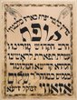 Shalom Zaoui