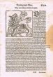 Lion africain "Cosmographia"