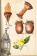Darbouka + Ane + Fleur + Lampe .+ Pots