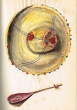 Chapeau riffain + Instrument de musique