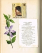 Homme à sa porte + Fleur + Programme du concert donné à la Légation Espagnole en fév 1881