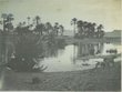 Panorama d'un oasis