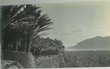 Panorama d'un oasis