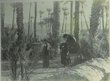 Promenade dans l'oasis