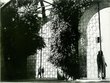 Porte en fer forgée