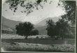 Vallée de l'ourika