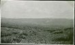 Vue générale de l'oliveraie de Demnat