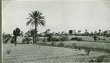 Ksar de Djorf