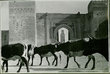 Porte de Meknès, Bab Berdaïn