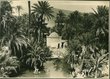 Sidi Harazem - Le Marabout