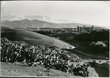 Kasbah