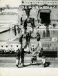 Hommes faisant une pyramide