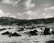 Plateau d'Ajdir