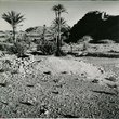L'Oasis de Talzaza