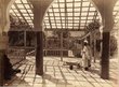 Palais de Bricho, les jardins