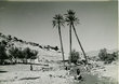 Palmeraie de Marrakech