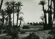 Palmeraie de Marrakech