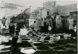 Tannerie à Fès