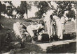 A la fontaine