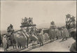 Sur le manège