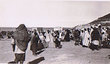 Souk près d'Agadir