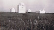Marabouts près de Boujad