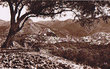 Panorama de Fès