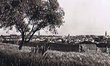 Meknès - Panorama sur la médina