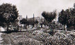 Tiznit - Le Jardin