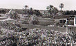 Taroudant - Marabout Sidi Embark et palmiers