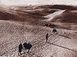 Mogador - La ville et les dunes