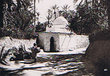 Marabout dans la palmeraie