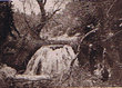 Vues d'Ifrane