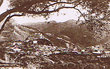 Moulay-Idriss panorama
